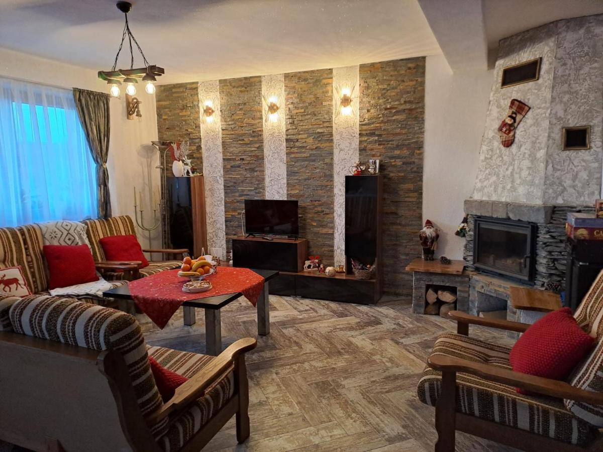 Vis Implinit Hotel Cîrţişoara Kültér fotó