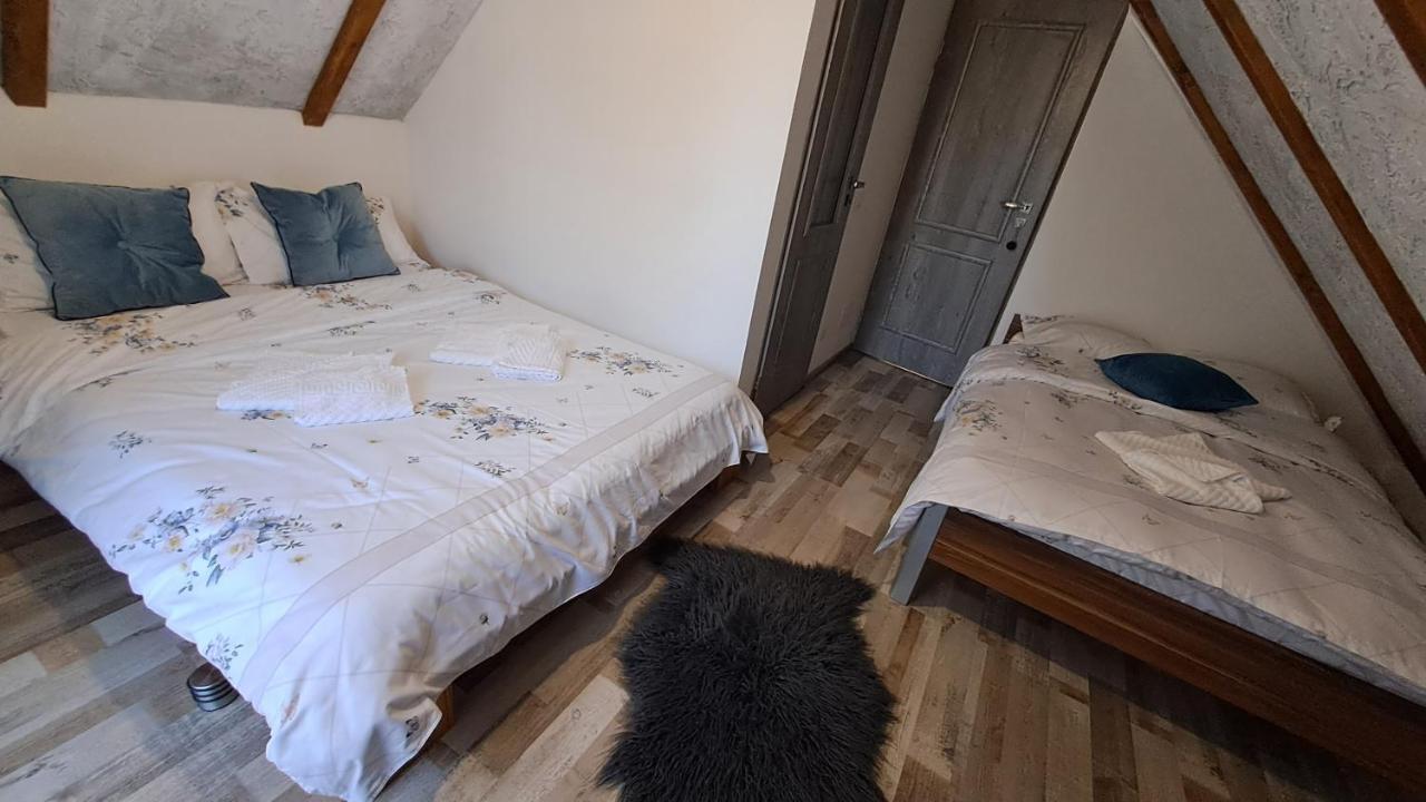 Vis Implinit Hotel Cîrţişoara Kültér fotó