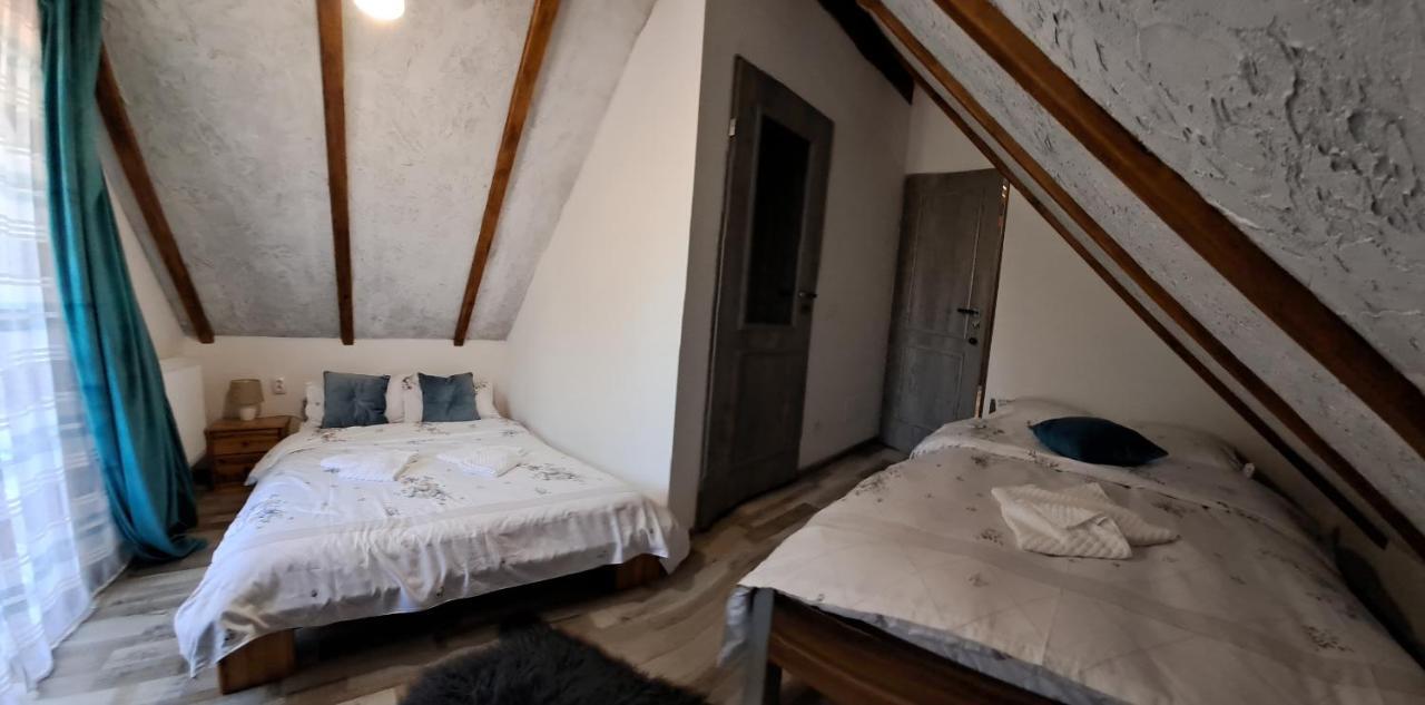 Vis Implinit Hotel Cîrţişoara Kültér fotó