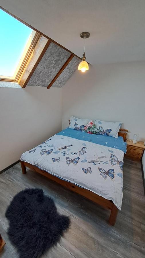 Vis Implinit Hotel Cîrţişoara Kültér fotó