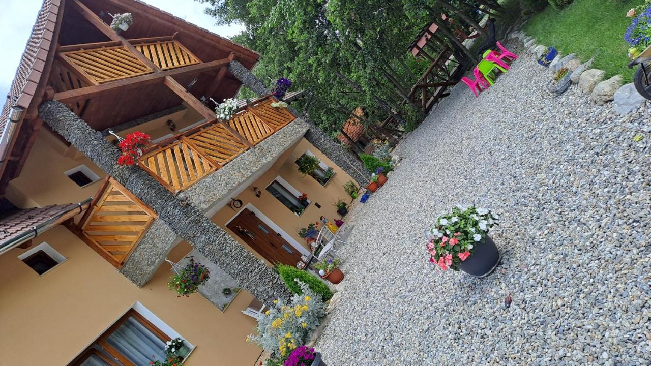 Vis Implinit Hotel Cîrţişoara Kültér fotó