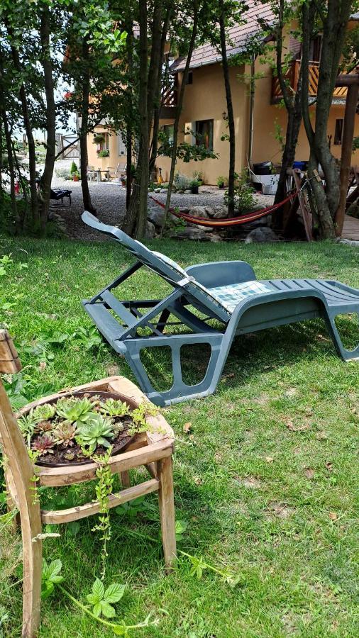 Vis Implinit Hotel Cîrţişoara Kültér fotó