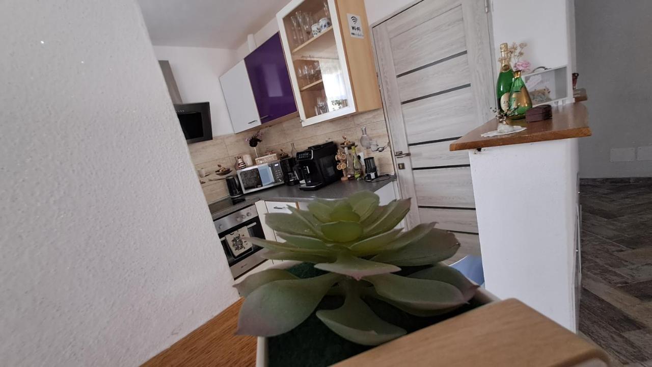 Vis Implinit Hotel Cîrţişoara Kültér fotó