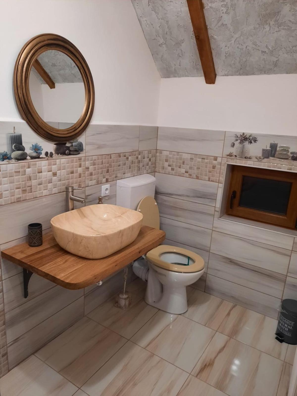 Vis Implinit Hotel Cîrţişoara Kültér fotó