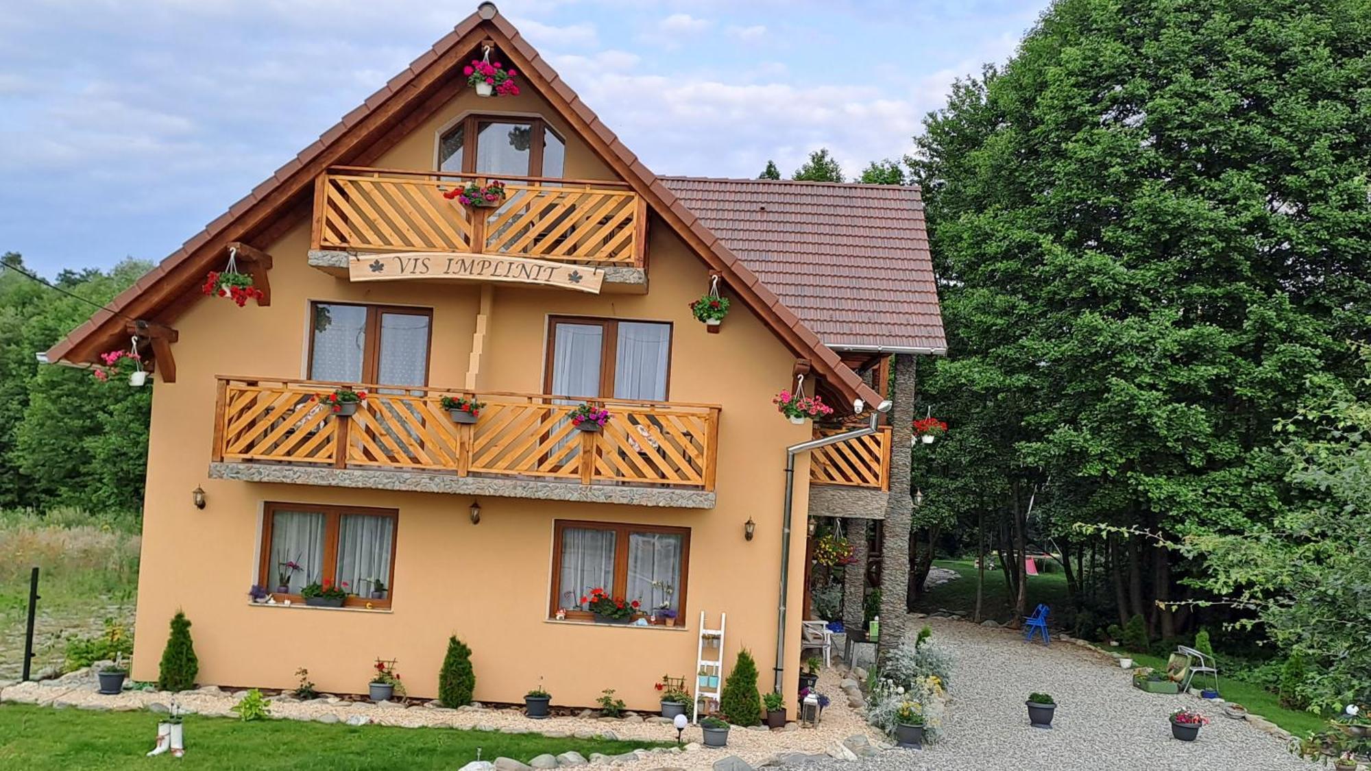 Vis Implinit Hotel Cîrţişoara Kültér fotó