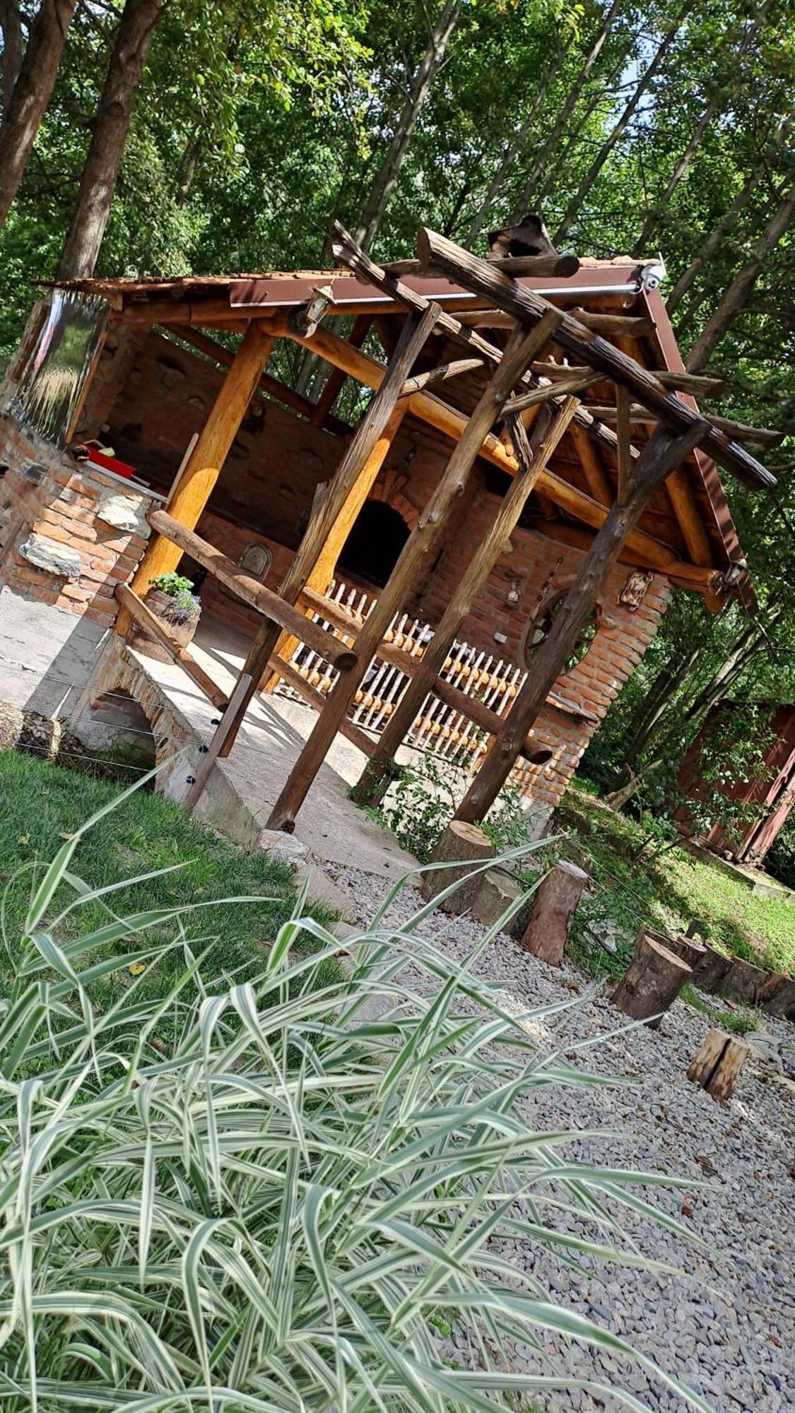 Vis Implinit Hotel Cîrţişoara Kültér fotó